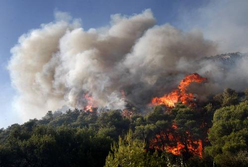 希腊山火直逼首都雅典 政府被指“无作为”