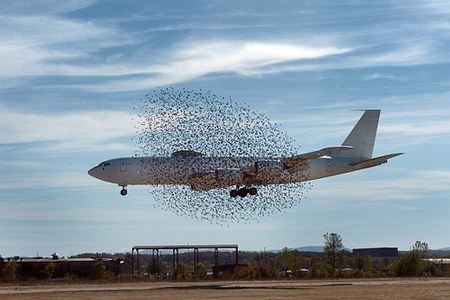 -6b飞机在美国阿肯色州