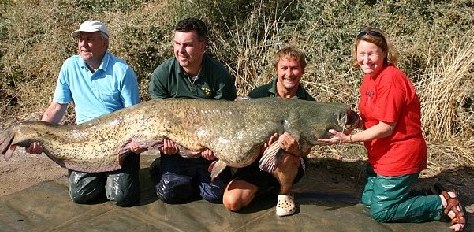 英国盲人妇女捕获近百公斤重鲶鱼 创两项世界纪录