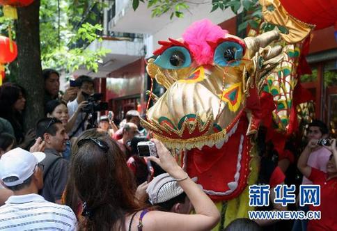 非洲:政要也爱中国年