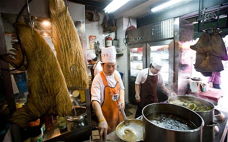 美国加州拟立法禁止鱼翅交易 引发华裔居民热议