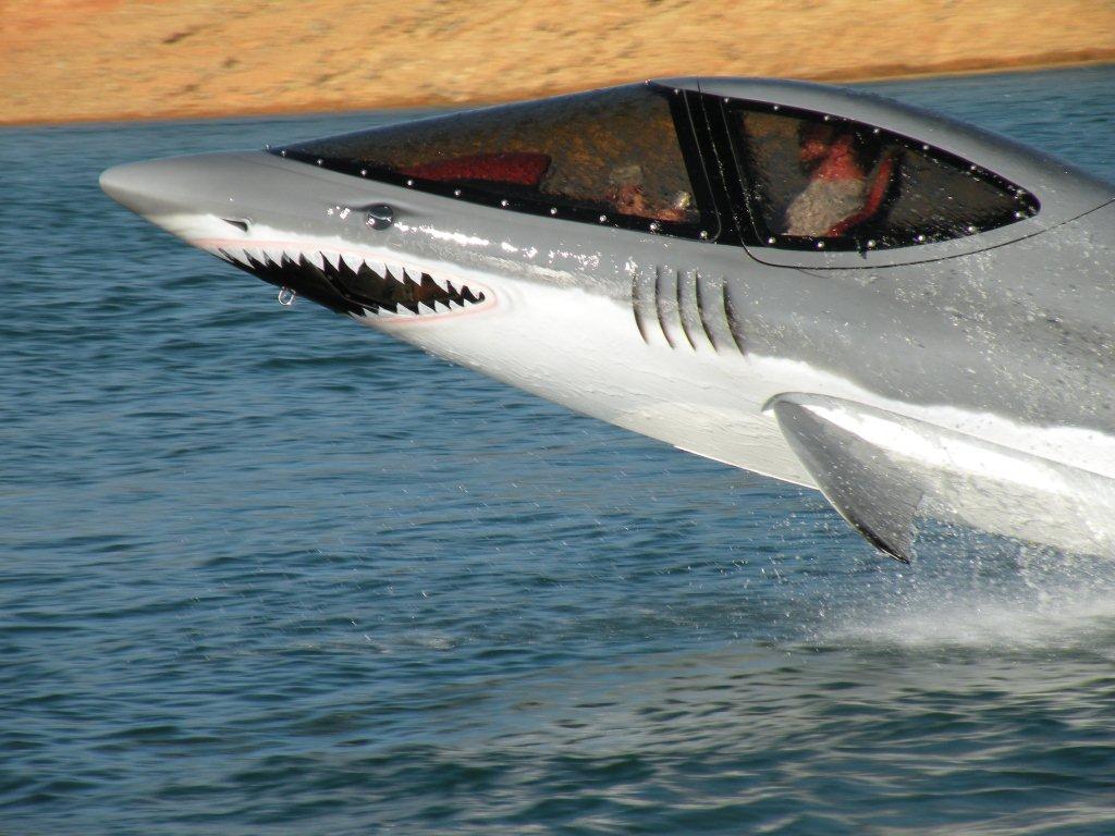 美国研制出新型仿生潜水艇 灵活程度堪比海豚、鲨鱼