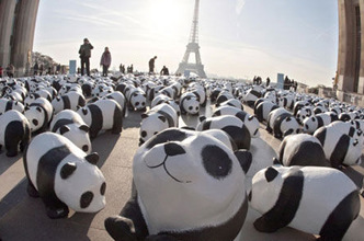 全球逾4000城市熄灯一小时 上千“熊猫”巴黎吁环保