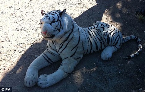 英国警察被忽悠 派出直升机围捕玩具老虎