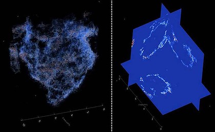 科学家称发现世上最古老生物化石 距今34亿年