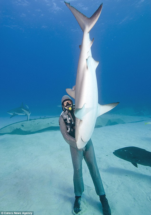 意大利女潜水员展现魔幻之手 恐怖鲨鱼倒立其掌心