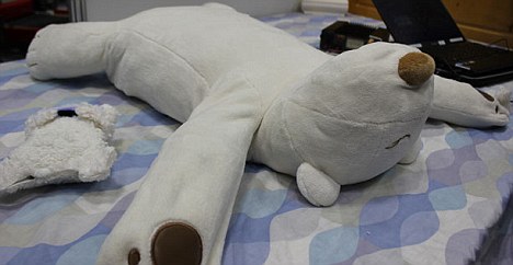 日本发明对付打鼾机器熊枕 声音过响可干预睡姿