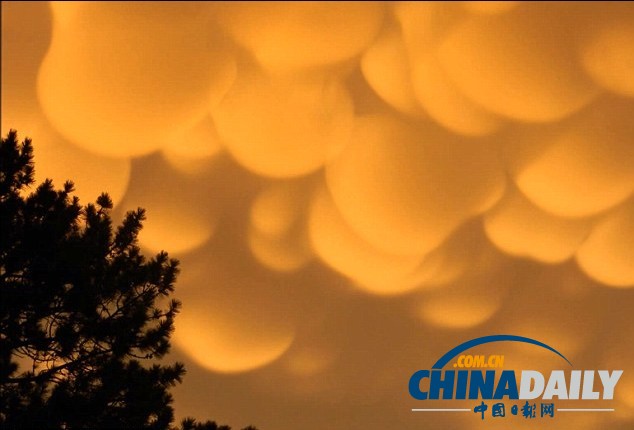 组图：美国密歇根出现罕见橙色乳房云 美不胜收