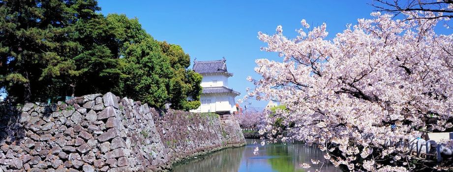 日本借大地震一周年感谢外国游客