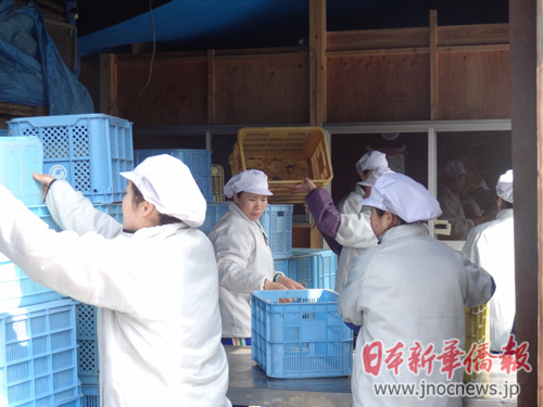 日本地震周年：在佐藤充家乡听救援中国人新故事