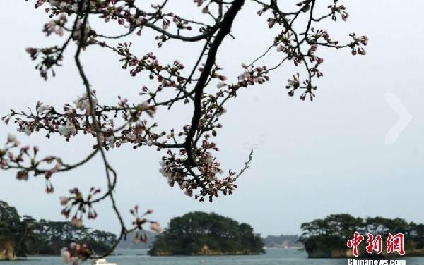 日本三大景点之一：松岛海域