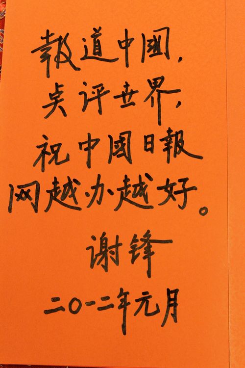 外交部美大司司长谢锋作客本网(图)