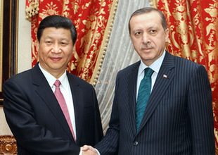习近平会见土耳其总理埃尔多安