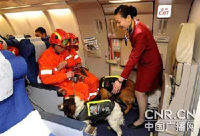 专家:中国军队应准备担负更多境外非战争任务