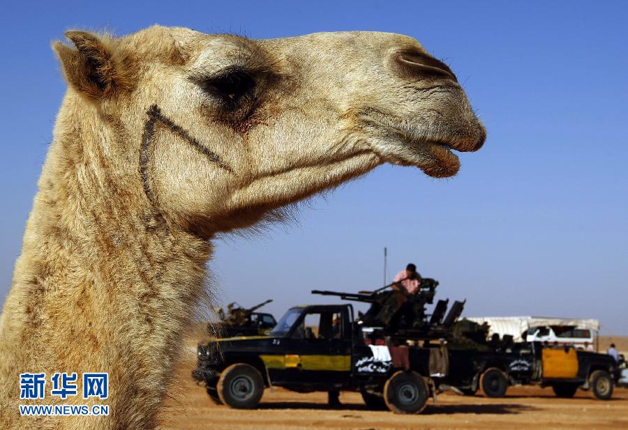 利比亚执政当局在卡扎菲老家进攻因人体盾牌受阻