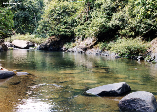小河钓虾