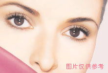 鼻子的美学标准(图)