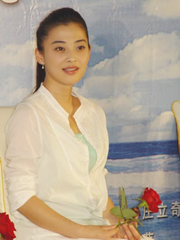 梅婷发布会遇尴尬 演技受质疑(图)