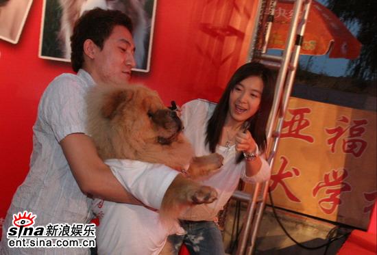 《狗狗心事》红地毯上人狗战