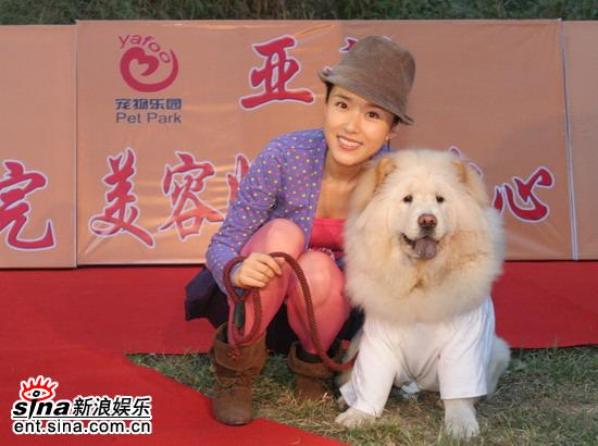 《狗狗心事》红地毯上人狗战