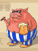 谁是最可爱的猪