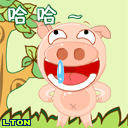 谁是最可爱的猪