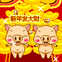 谁是最可爱的猪