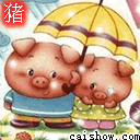 谁是最可爱的猪