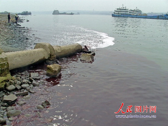 显示,2006年,人们共向长江排放污水305