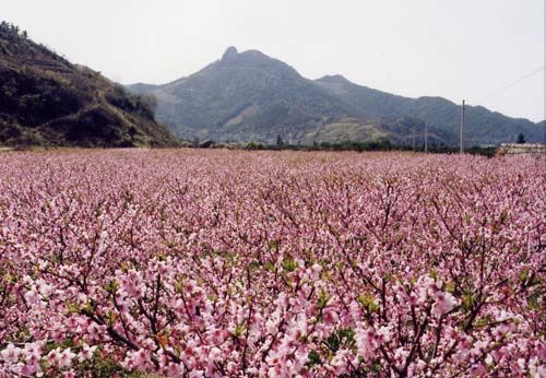 新《西游记》外景地 癫狂怒骂靠景色衬托