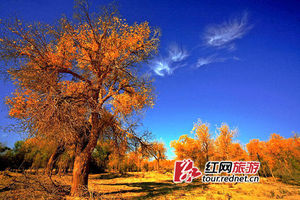 2012旅游月历国内篇 去哪遇见最美风景