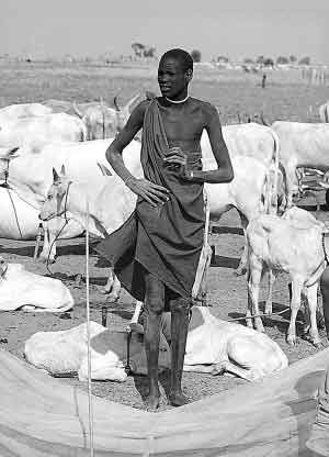 非洲努尔人 女人也能娶妻做爸爸[2]