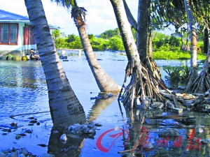 图瓦卢50年后沉入海底 海浪轻松给全岛“洗澡”