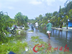 图瓦卢50年后沉入海底 海浪轻松给全岛“洗澡”