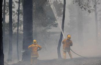 澳山火已致181人丧生 风势改变重灾区或再遭劫难