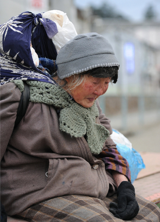 日本灾区现场：一条狗在废墟中等待主人