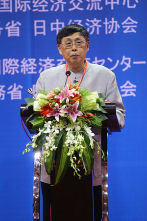 陈昊苏：将第八次会议开成邦交正常化40年的总结性会议