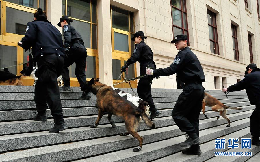 警犬“助阵”两会安保工作：大会堂内细致检查