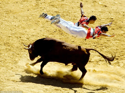 组图：叹为观止的西班牙“飞牛”表演