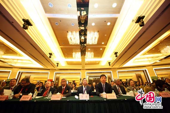 2010中印发展论坛举行 探讨发展中的中印关系