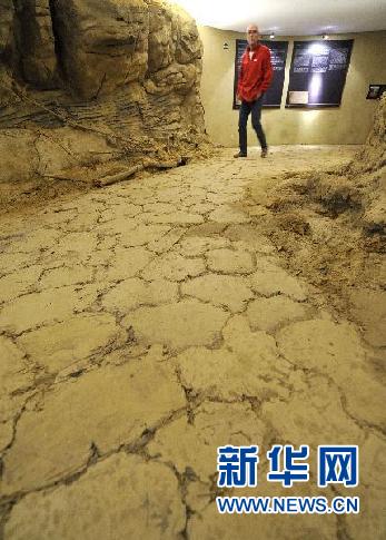 世界眼里中国年轻人的十个特点