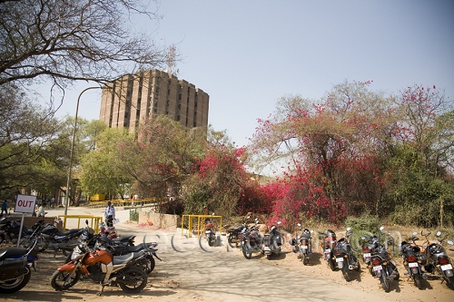 印度探索之德里的大学(1)