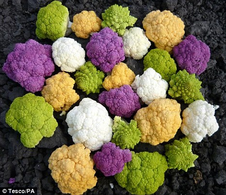 英国超市推出“彩虹菜花” 形如艺术品吸引人们多吃蔬菜