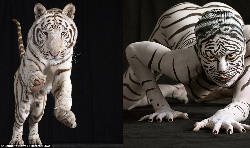 图：人与动物有多相像？美摄影师展示令人惊叹对比照