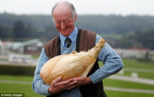 英退休老人种出8.15公斤巨型洋葱 刷新世界纪录