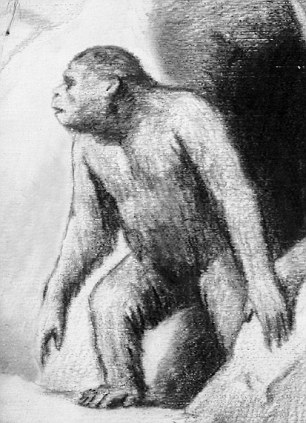 俄官方称发现雪人存在“确凿证据” 质疑者斥为炒作