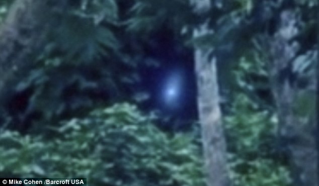 英国游客在巴西亚马孙拍到不明光源和疑似外星人
