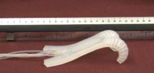 可变形气动软体机器人问世 微型电子虫或成救援先锋 - 中国日报网