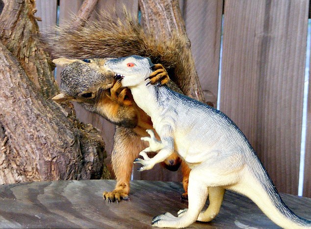 图:小松鼠爱上塑料霸王龙 又亲又抱真逗乐