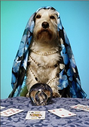 心灵感应、预测灾难!你的宠物能通灵吗?